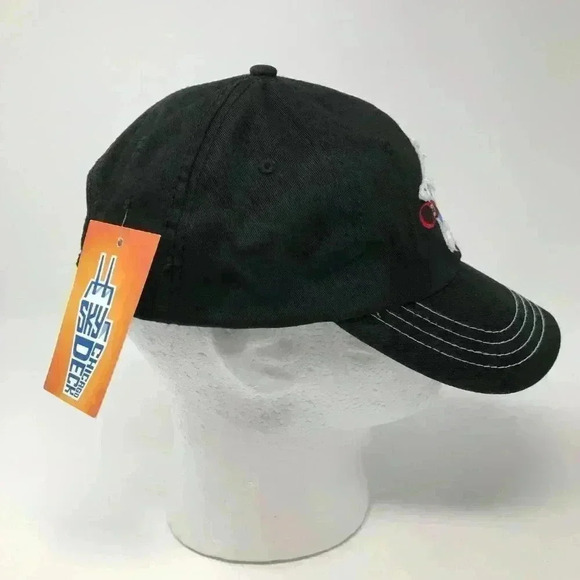 Sky Deck Ledge Chicago 1837 Adjustable Cap NWT - Picture 5 of 7